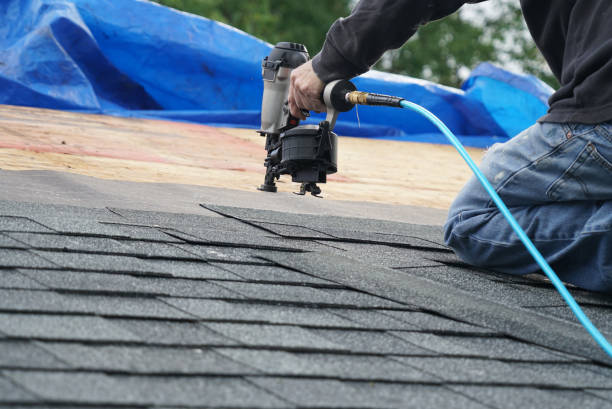 Best Roof Gutter Cleaning  in Mill Bay, AK