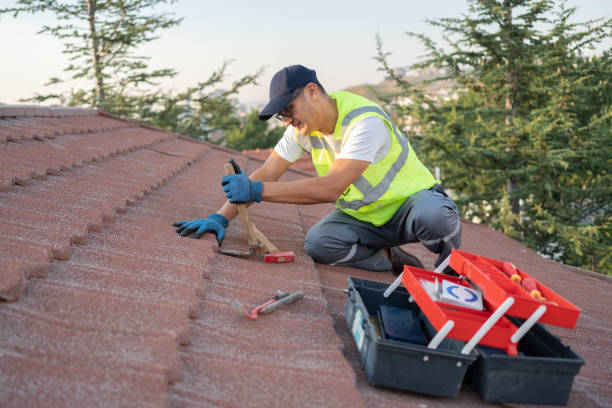 Best Roof Repair Services  in Mill Bay, AK
