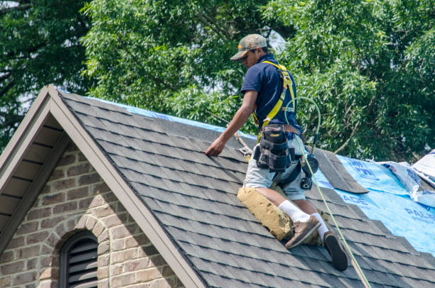 Best Storm Damage Roof Repair  in Mill Bay, AK